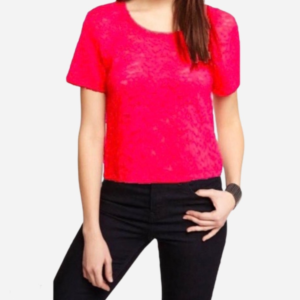 🌸New🌸 Moda International Hot Pink Lace Top Sz S